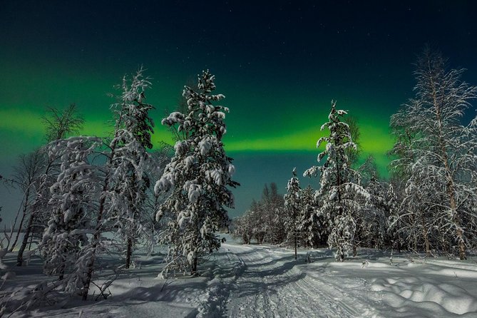 Hunting Northern Lights With Husky - Tips for Maximizing the Experience