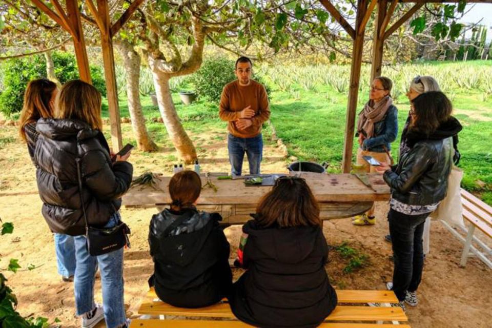 IBIZA : MADE in IBIZA PRODUCTS (Food and Drink Tour) - Ibiza Wine Grower Experience