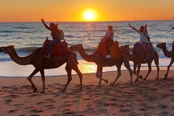 Inclusive Beach Camel Ride, Cap Spartel, Hercules & Full Dinner - Dinner Menu