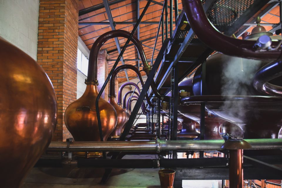 Jarnac: Braastad Cognac Discovery Tour - Museum and Exhibits