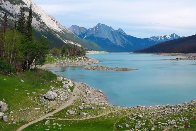 Jasper Wildlife and Waterfalls Tour With Maligne Lake Hike - Geological and Ecological Information