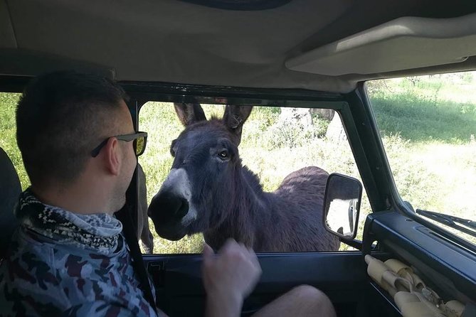 Jeep Safari to Akamas National Park: Avakas Gorge Tour From Paphos - Considerations for the Tour Participants