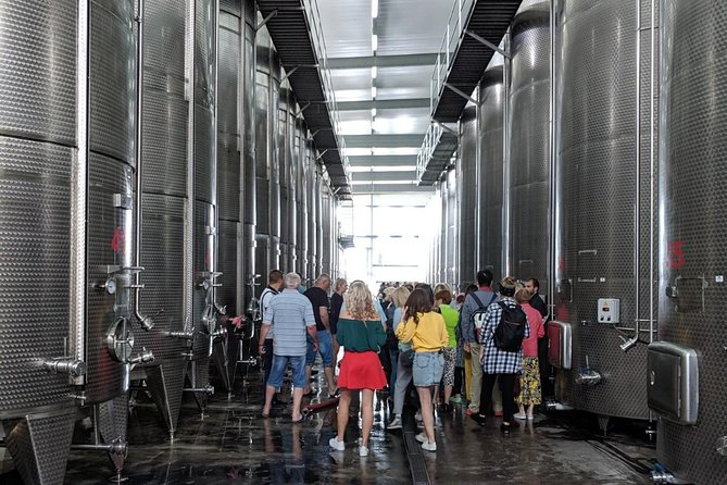 Kakheti Wine Tour · Full Day Private Tour · Trending Georgia - Logistics and Accessibility