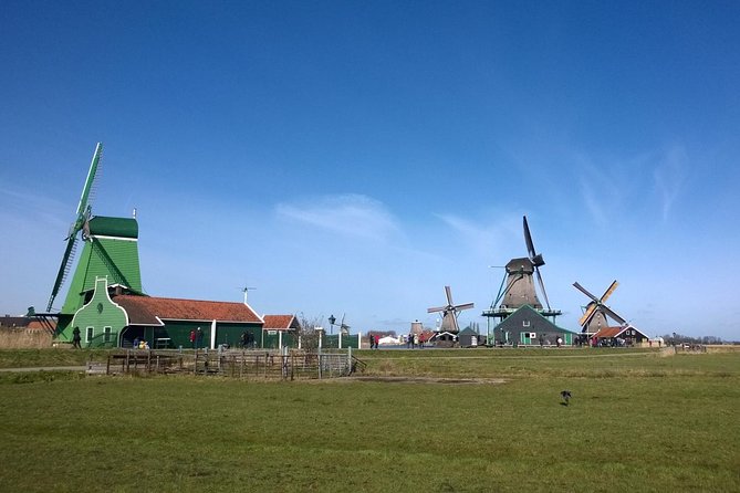 Keukenhofs Tulips and Windmills Small-Group Tour From Amsterdam - Exploring Keukenhof Gardens