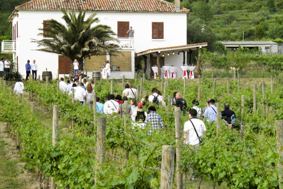 Konavle Valley: Tour With Wine Tasting From Dubrovnik - Inclusions and Requirements