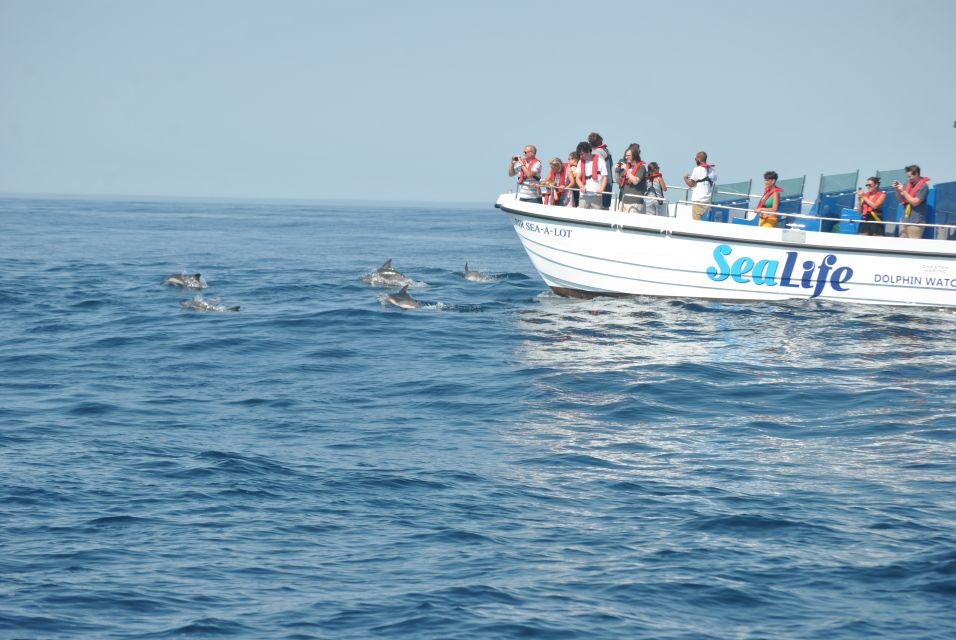 Lagos: Dolphin Watching Boat Tour With Marine Biologists - Booking and Pricing