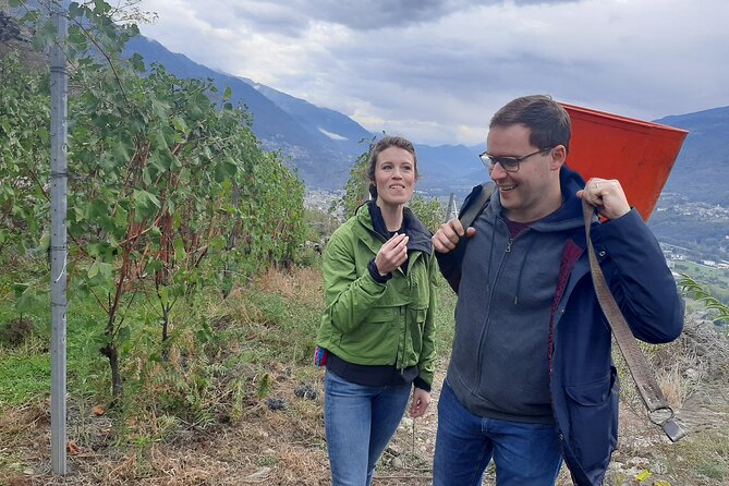 Lake Como & UNESCO Dry-stone Walls Vineyards - Minimum Age and Group Size