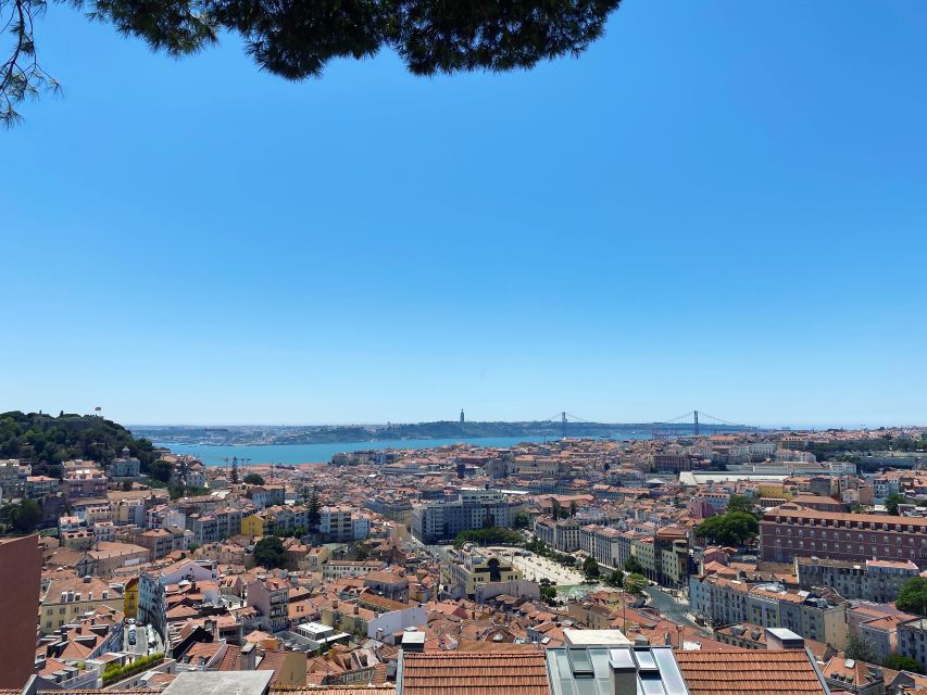 Lisbon: Private City Sightseeing Tour by Tuk-Tuk - Discover Key Attractions