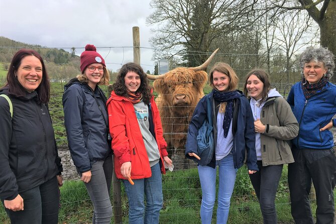 Loch Lomond National Park Tour With 2 Walks Starting Balloch Whats Included