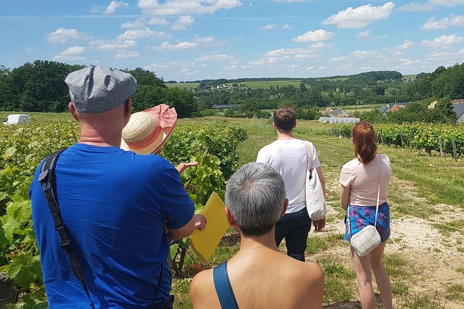 Loire Valley Day From Amboise: Azay Le Rideau, Villandry, Winery - Local Vouvray Winery