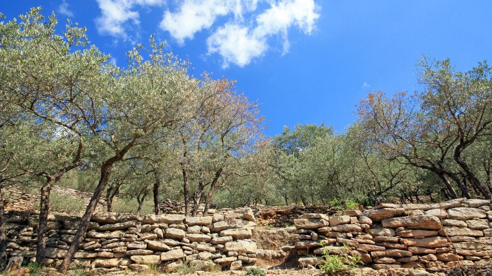 Luberon: Plague Wall Bike Ride - Frequently Asked Questions