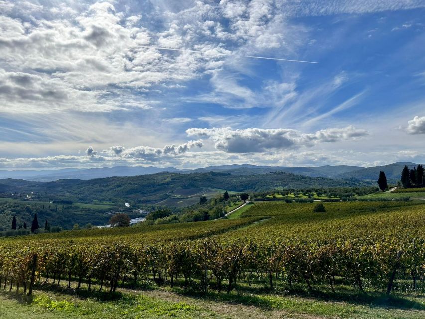 Lucca Private Day Tour to Chianti and San Gimignano - Discovering San Gimignano