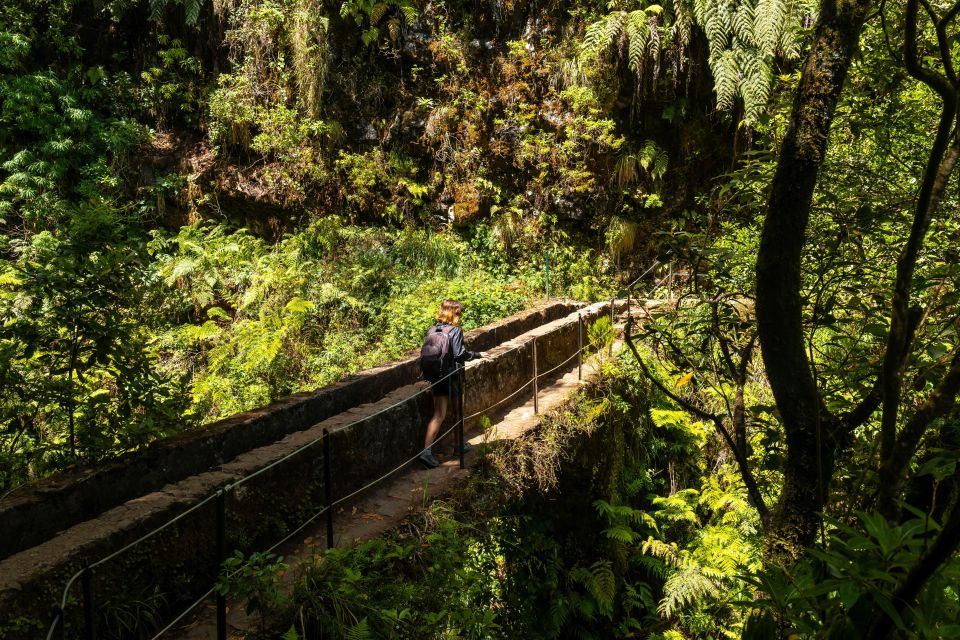 Madeira: Jungle Fever Levada Caldeirao Verde Hike Santana - Frequently Asked Questions