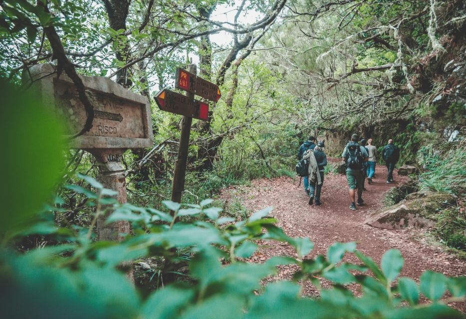 Madeira: Rabaçal Valley and the 25 Fountains Hike. - Accessibility Considerations