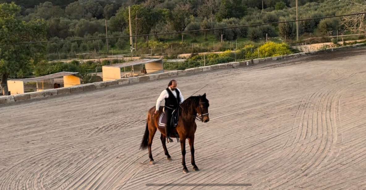 Mallorca: Mallorca`s Sunset & Spanish Riding School Show - Eligibility Requirements