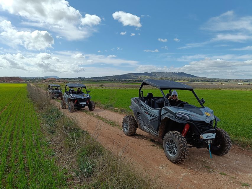 Mallorca: Mountain Buggy Adventure With Secret Coves Tour - Tour Operates Rain or Shine