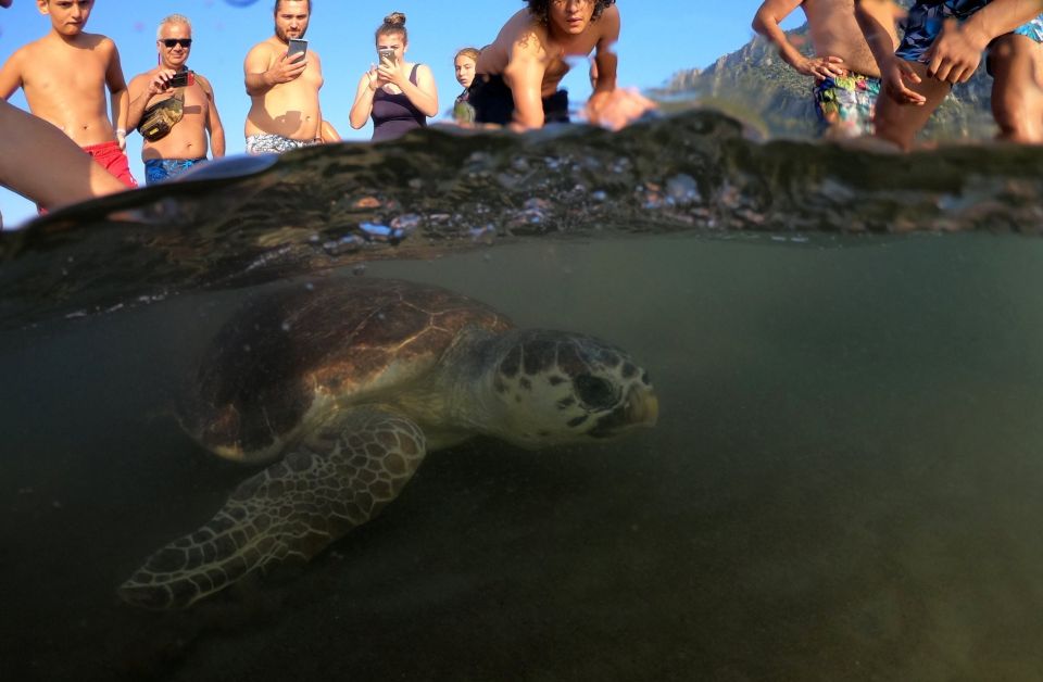 Marmaris: Dalyan Turtle Beach Tour With Mud Bath & Lunch - Recap