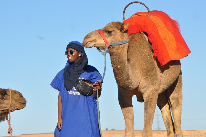 Marrakech: Camel Ride in the Palm Grove - Frequently Asked Questions