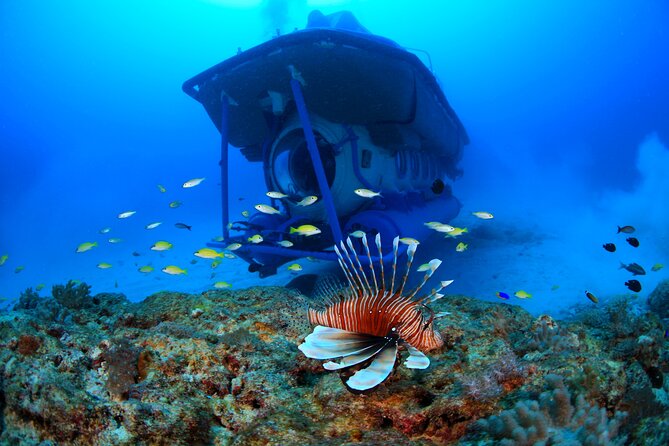 Mauritius Unique Submarine Tour - Marine Life Exploration