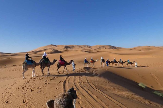 Merzouga 3-Days Desert Tour From Marrakech - Transportation and Logistics