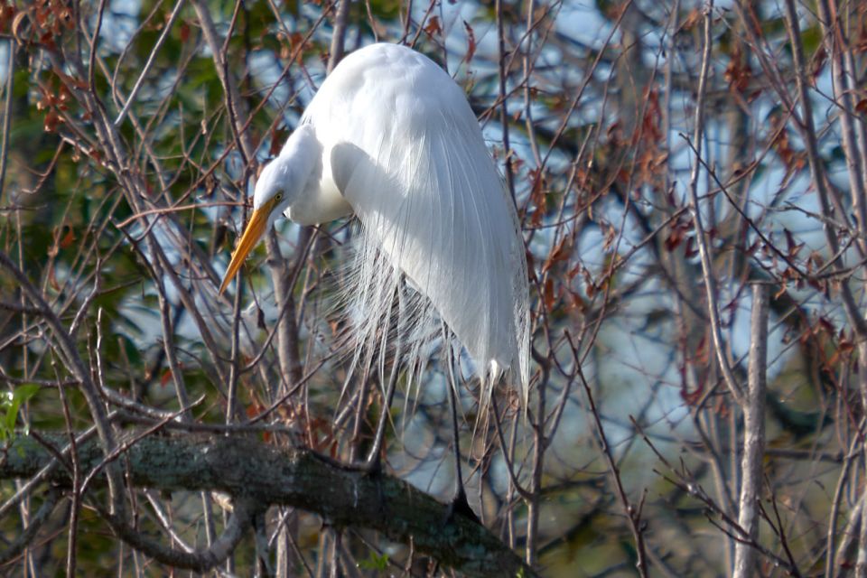 Miami: Everglades Full-Day Tour With 2 Boat Trips and Lunch - Keepsake Provided