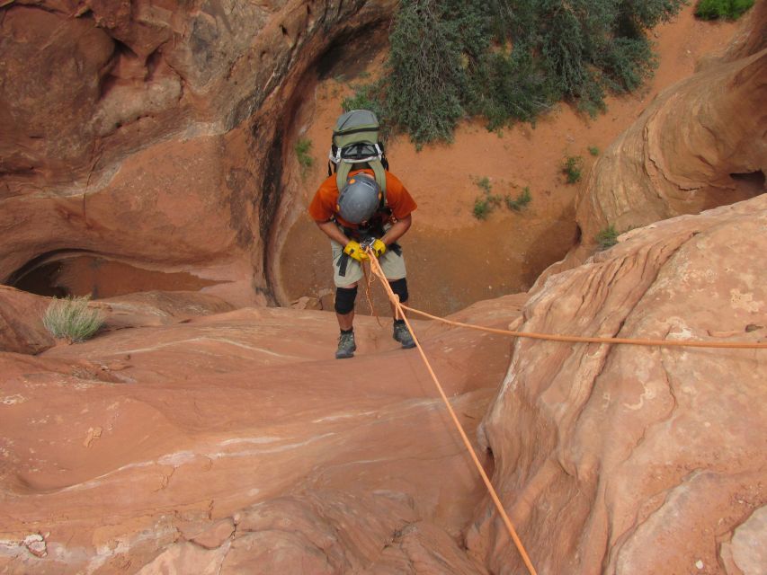 Moab: Morning or Afternoon Half-Day Rappelling Tour - Frequently Asked Questions