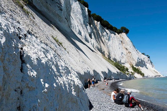 Møns Klint and the Forest Tower - a Day Tour From Copenhagen - About Møns Klint