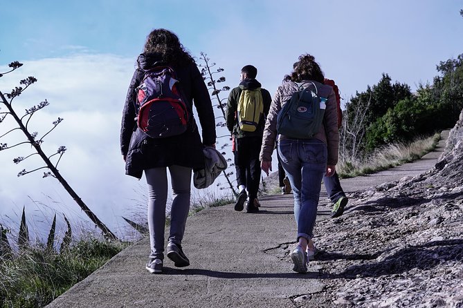 Montserrat Monastery and Hiking Experience From Barcelona - Montserrat Monastery Visit