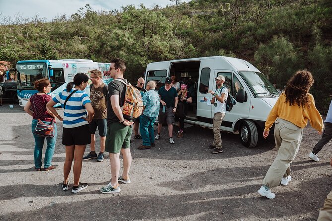 Mount Vesuvius Tour From Pompeii Led by an Expert Guide - Meeting Point and Pickup Arrangements