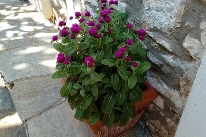 Naxos: Highlights of Naxos Day Tour - Panagia Drossiani Monastery