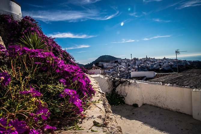 Nerja (Town) + Frigiliana & El Acebuchal - Semi-Private - Cancellation Policy