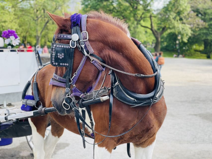 New York City: Central Park Private Horse and Carriage Tour - Historical Facts and Trivia