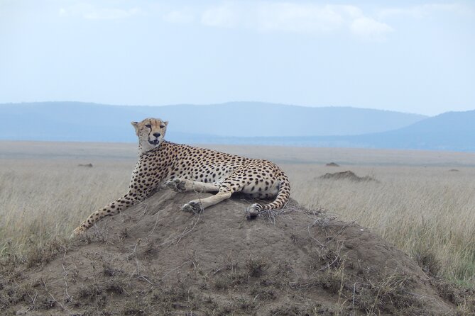 Ngorongoro Adventure Day Tour From Arusha - Tour Itinerary