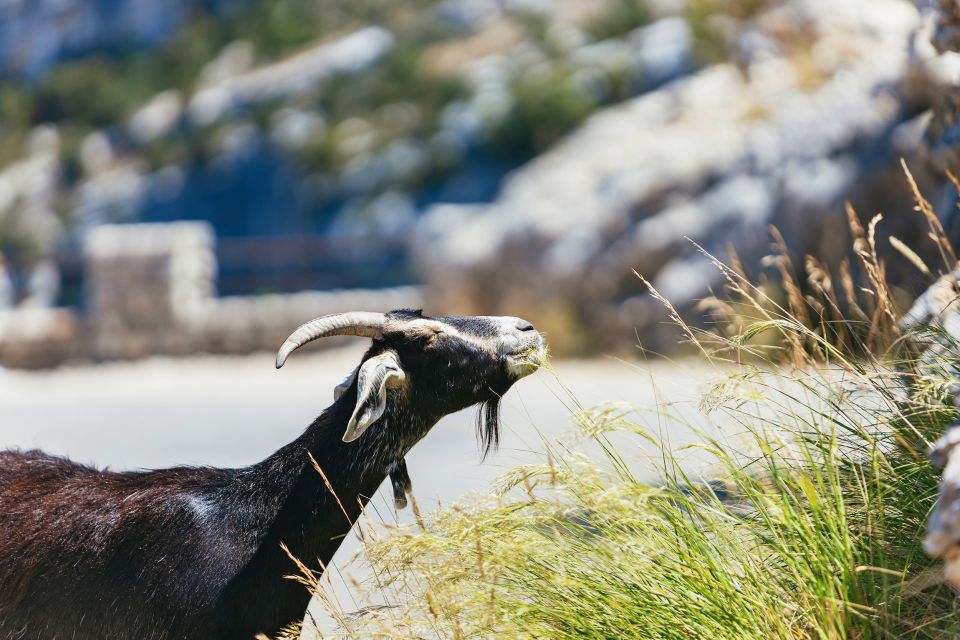 Nice: Gorges of Verdon and Fields of Lavender Tour - Exploring the Verdon Gorge