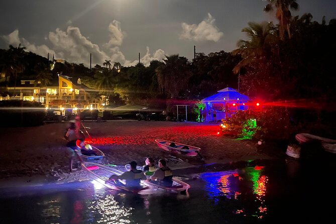 Night Kayak Tour St. John - Westin Resort - Wildlife Sightings and Highlights