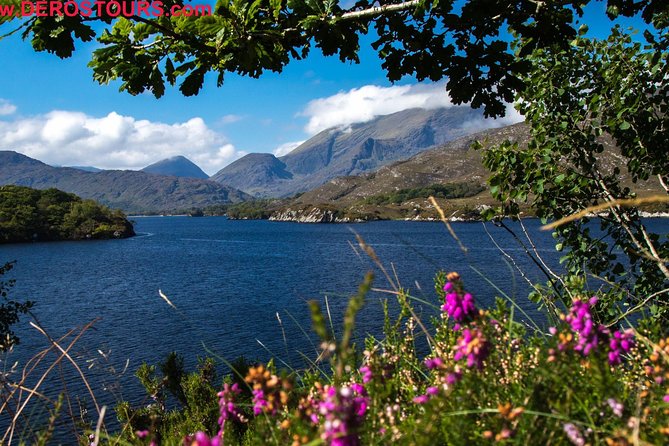 NO 1 Ring of Kerry Tour Inc Killarney Lakes & National Park - Molls Gap and Ladies View