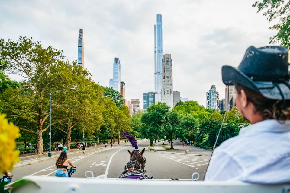 NYC: Guided Central Park Horse Carriage Ride - Accessibility Information