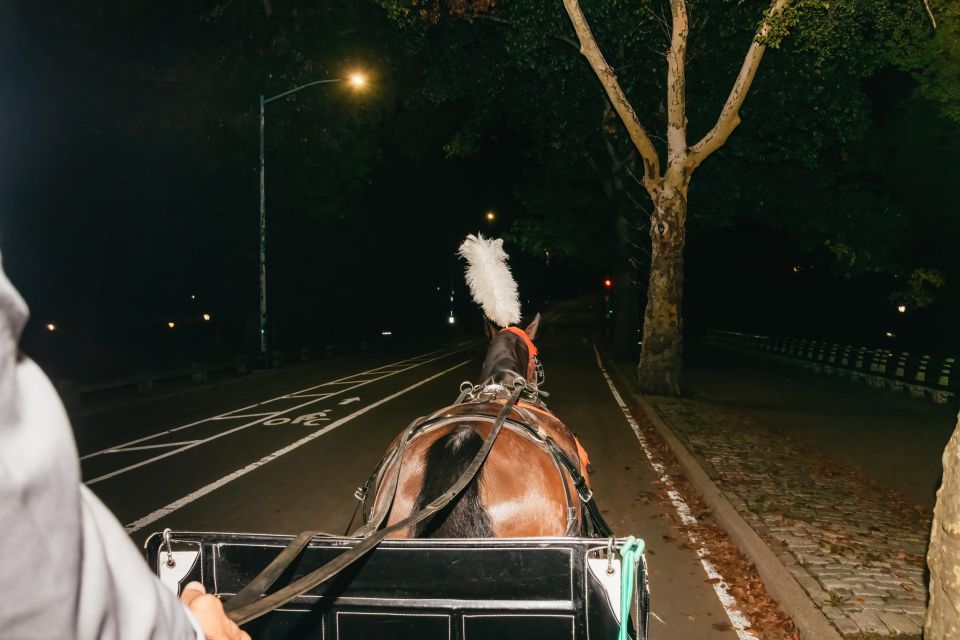 NYC MOONLIGHT HORSE CARRIAGE RIDE Through Central Park - Booking and Cancellation Policy