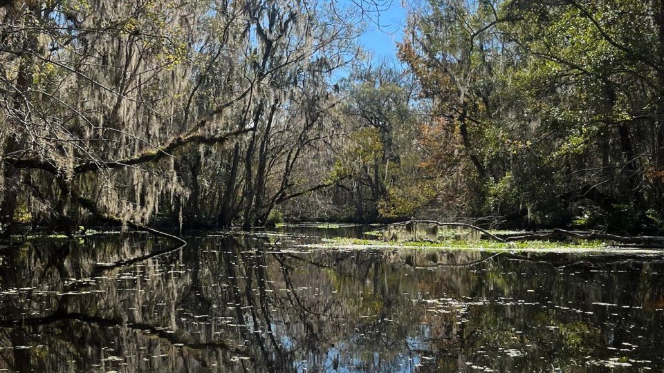 Old Florida Backwater Kayak Adventure Near St. Augustine - What to Bring