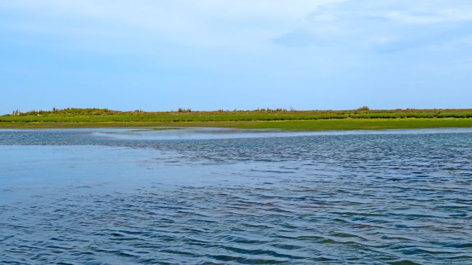 Olhão: 3-Hour Ria Formosa Boat Tour - Customer Feedback and Ratings