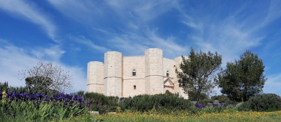 One-Day Trip From Matera to Bari, Gravina, Castel Del Monte and Trani - Transportation and Logistics