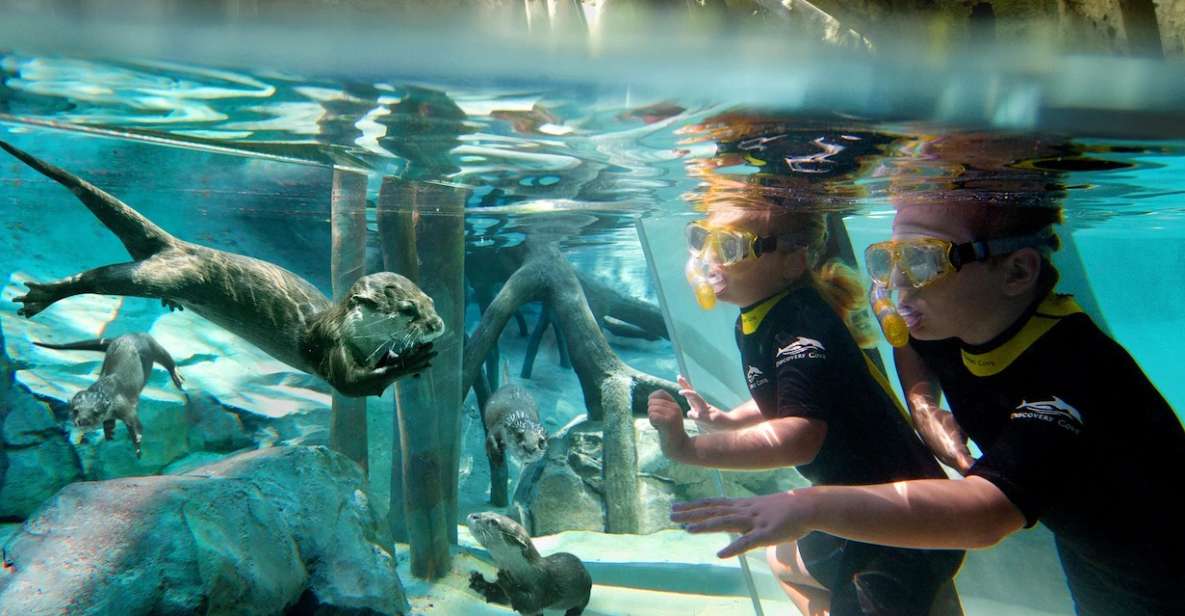 Orlando: Discovery Cove Admission Ticket & Additional Parks - Cancellation and Reservation Policies