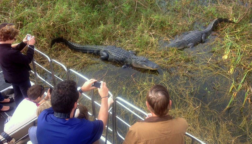 Orlando: Everglades Airboat Ride and Wildlife Park Ticket - Airboat Ride Details