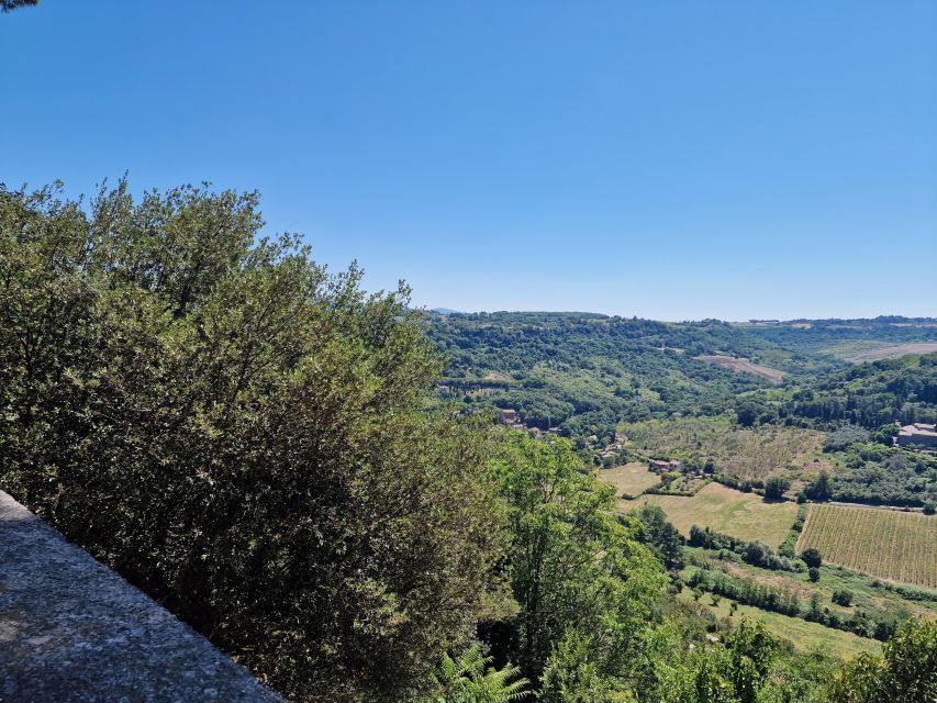 Orvieto the Etruscan City Private Tour From Rome - Unearthing Orvietos Underground Tunnels and Caves