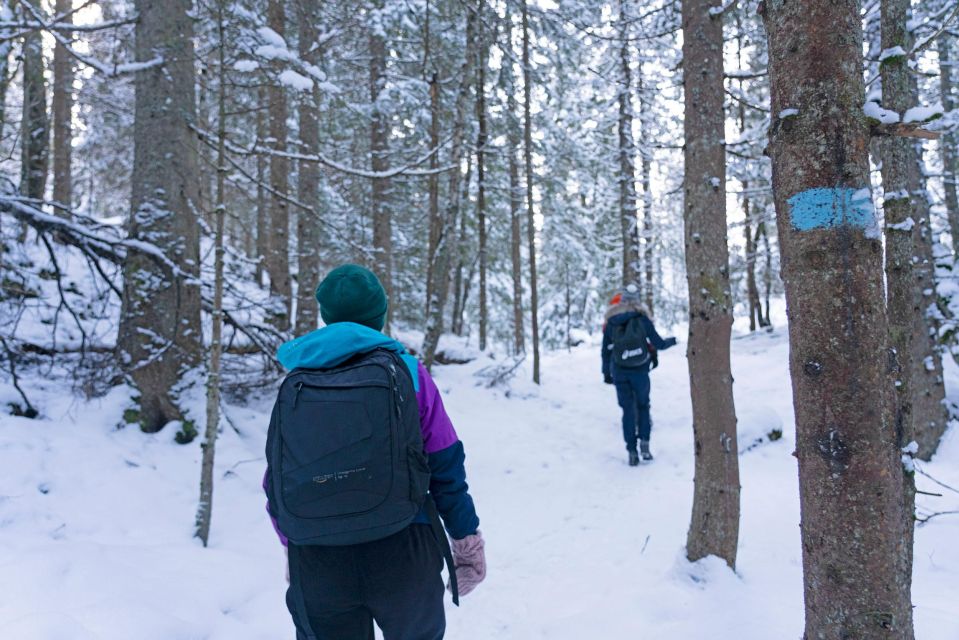 Oslo: Snow Hike to Vettakollen With Oslofjord Winter View - Encounter With the Huldra Creature