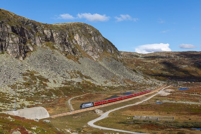 Oslo To Sognefjord Private Full Day Roundtrip Including Flam Railway - Flam Railway Journey