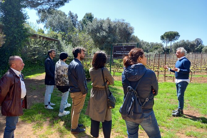 Ostuni DOC Winetour and Tasting. - Directions to the Meeting Point