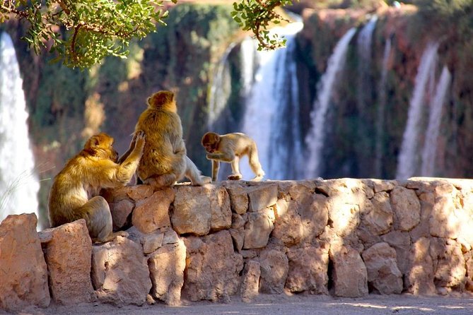 Ouzoud Waterfalls Tour From Marrakech In Group - Convenient Hotel Pickup