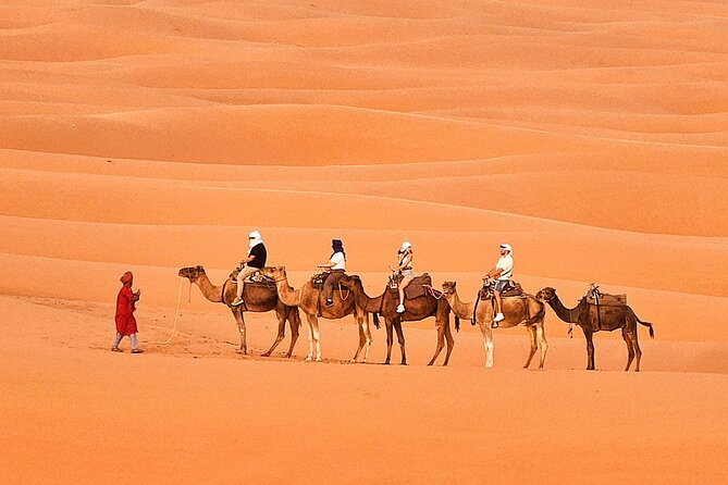 Overnight Camp Camel Trekking In Merzouga - Pickup and Meeting Point