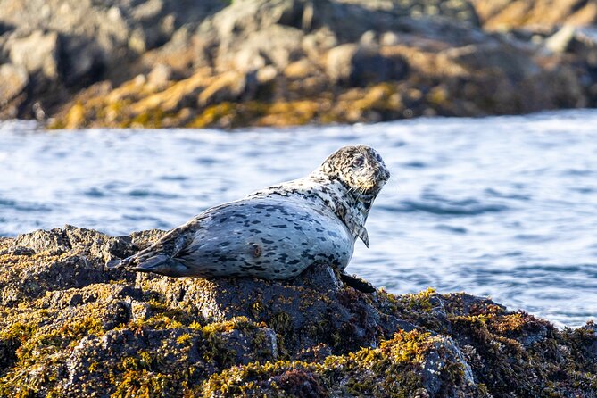 Pacific Rim Tour (Ucluelet & Tofino) - Cancellation Policy